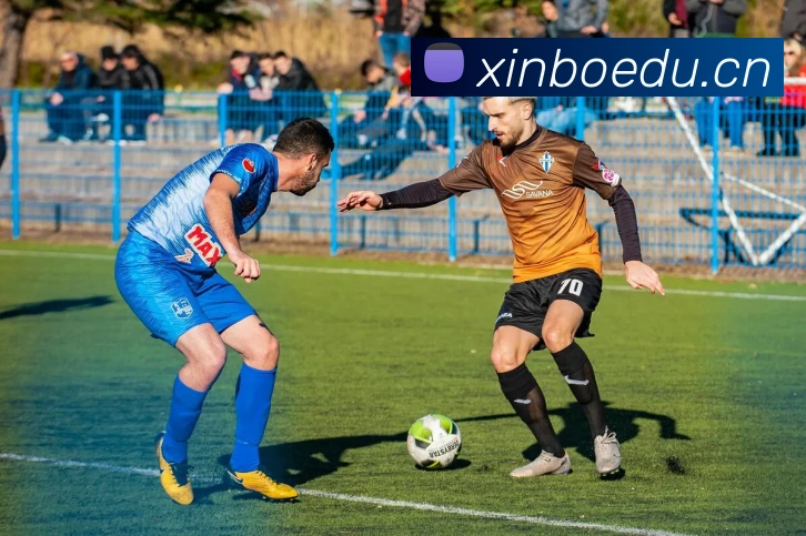 leyu乐鱼官方在线登录平台生态图